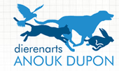 Dierenarts Anouk Dupon, Ardooie