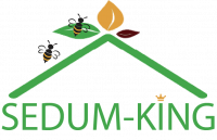 Sedum specialist - SEDUM-KING, Grimbergen