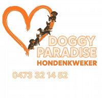 Teckel fokker gezocht - Doggy Paradise, Wellen