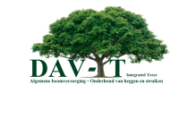 Professionele tuinaanleg - DAV-IT Tuinwerken, Kortrijk