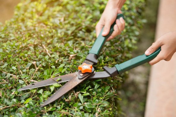 Huishoudartikelen, Tuinartikelen , Tuinmeubelen, Speelgoed, Hout, Sanitair, Verf, Verlichting, Werkkledij, Campingartikelen in Poperinge, West-Vlaanderen