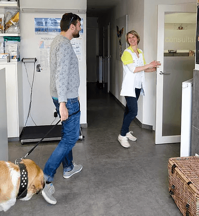 Dierenarts, Dierenkliniek, Radiografie en echografie voor dieren, Diergeneeskunde, Kleine huisdieren, Dieren gebitscontrole, Huisbezoek, Gezelschapsdieren, Dierenvoeding, Spoeddienst in Ardooie, West-Vlaanderen