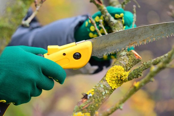 Snoeiwerken, Bouwrijp van gronden, Tuinwerken, Tuinaanleg en tuinonderhoud, Graafwerken in Tielen, Antwerpen