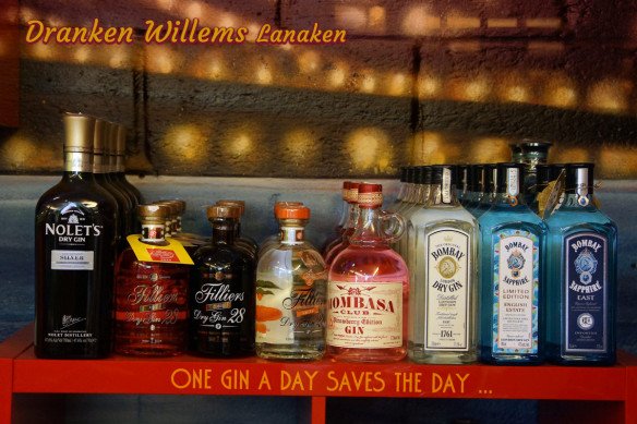 shop_ginselection.jpg - Dranken Willems, Lanaken