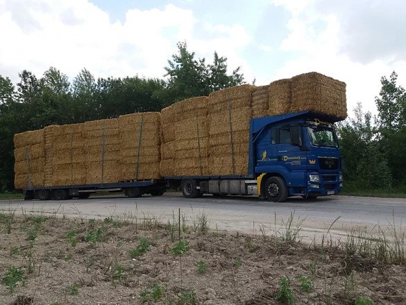 Aardappelhandel, Strohandel, Hooihandel, Fouragehandel, Tarwehandel in Harelbeke, West-Vlaanderen