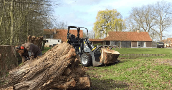 Tuinaanleg, Tuinwerken, Tuinonderhoud, Tuinrenovatie, Tuinontwerp, Aanleg van opritten, Aanleg van terrassen, Afsluitingen, Snoeien van bomen, Vellen van bomen in Veurne, West-Vlaanderen