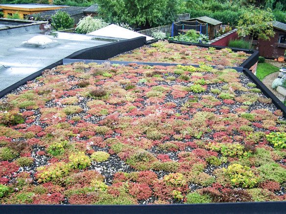 Groendaken specialist - EMC Greenroofs, Ruiselede