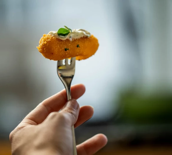 Goede kwaliteit kroketten kopen Puurs, Antwerpen