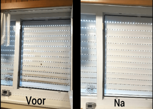Schoonmaak bedrijf, Ramenwasserij, Ruitenwasserij, Glazenwasserij, reinigen van zonnepanelen, Opkuis na renovatie, Dakgoten leegmaken, Reinigen van rolluiken, Schoonmaak van trappenhallen, Schoonmaak van scholen in Westerlo, Antwerpen