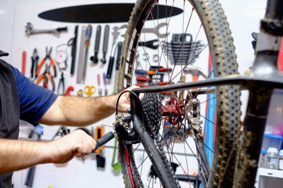 Verkoop van nieuwe fietsen, Verkoop van kinderfietsen, Onderhoud van fietsen, Fietsen Trek, Fietsen Thompson, Verkoop van e-bikes, Verkoop van fietsaccessoires, Verkoop van koersfietsen, Verkoop van stadsfietsen in Mortsel, Antwerpen