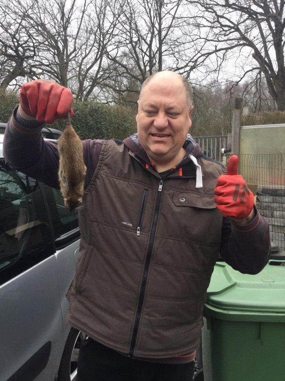 Ongedierte bestrijden in de regio Brasschaat, Antwerpen