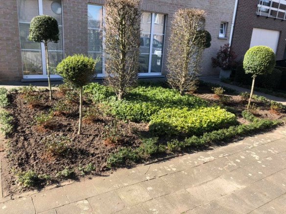 Tuin specialist Grobbendonk, Antwerpen