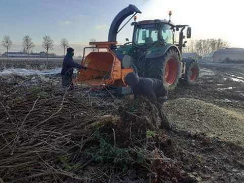 Bomen en struiken snoeien Wingene, West-Vlaanderen