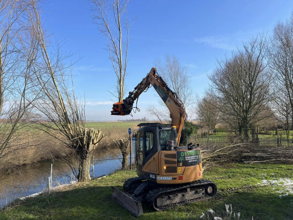 Boomexpert Lo-Reninge, West-Vlaanderen