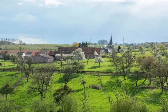 Rustgevend vakantiehuis Gingelom, Limburg