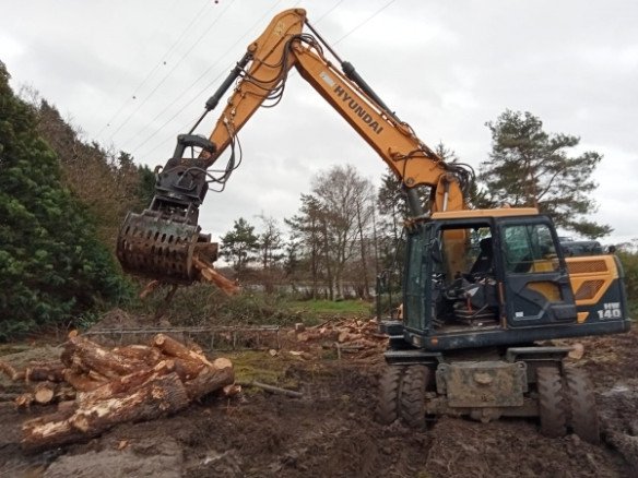 Snoeien en vellen van bomen Geel, Antwerpen