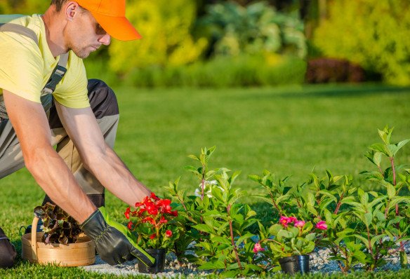 Professionele tuinman in de buurt Hoboken, Antwerpen