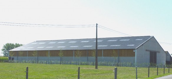 Stallenbouw voor dieren Ieper, West-Vlaanderen