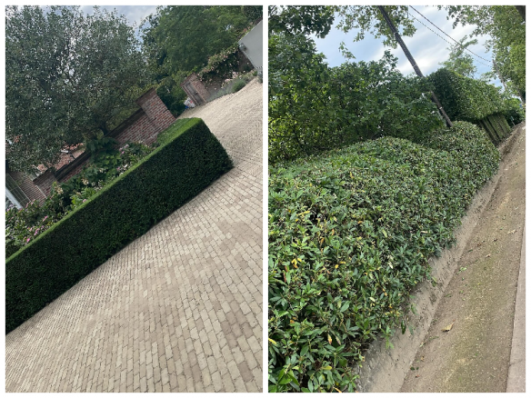 Opritten en terrassen Geraardsbergen, Oost-Vlaanderen