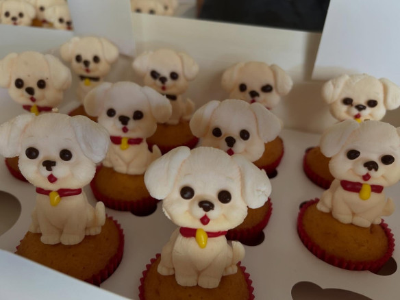 Cupcakes kopen in de buurt Molenbeek-Wersbeek (Bekkevoort), Vlaams-Brabant